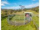 449 Hickeys Creek Road, Millbank NSW 2440