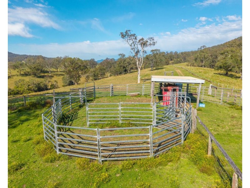 449 Hickeys Creek Road, Millbank NSW 2440
