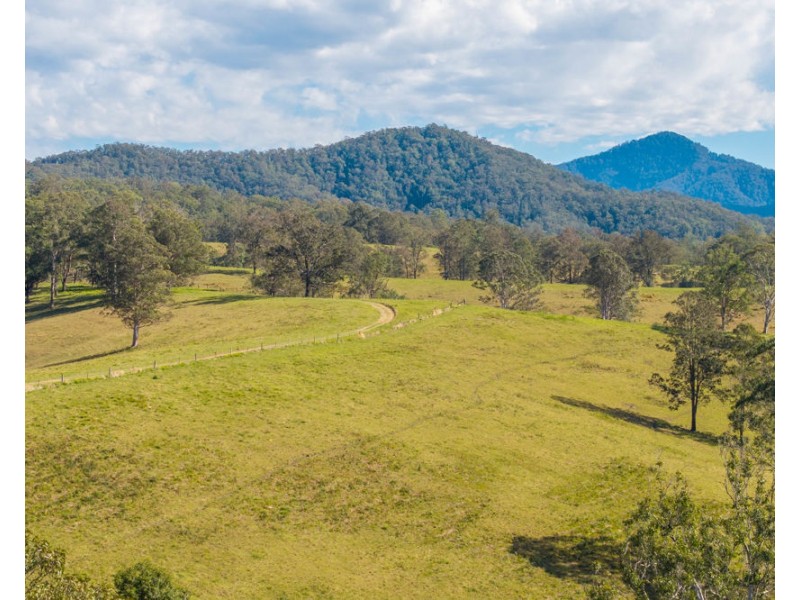 449 Hickeys Creek Road, Millbank NSW 2440