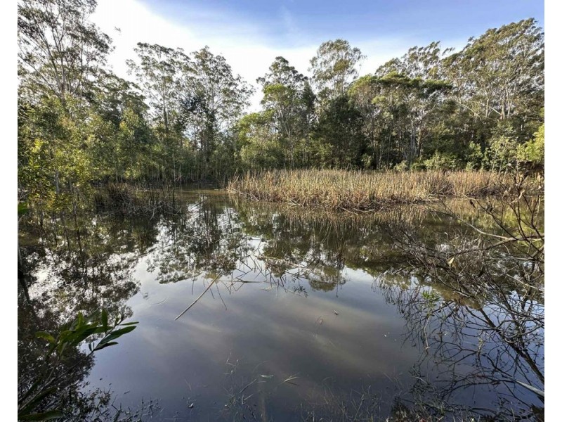 Lot 1 Inches Road, Verges Creek NSW 2440