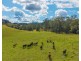 3643 Taylors Arm Road, Burrapine NSW 2447