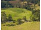 3643 Taylors Arm Road, Burrapine NSW 2447