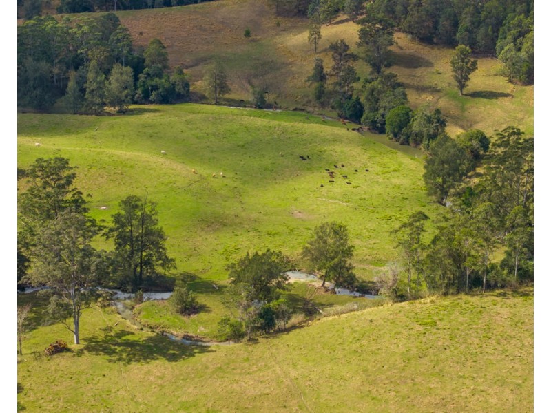 3643 Taylors Arm Road, Burrapine NSW 2447