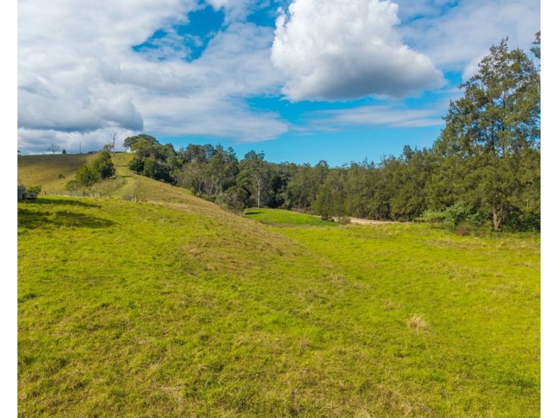 3643 Taylors Arm Road, Burrapine NSW 2447