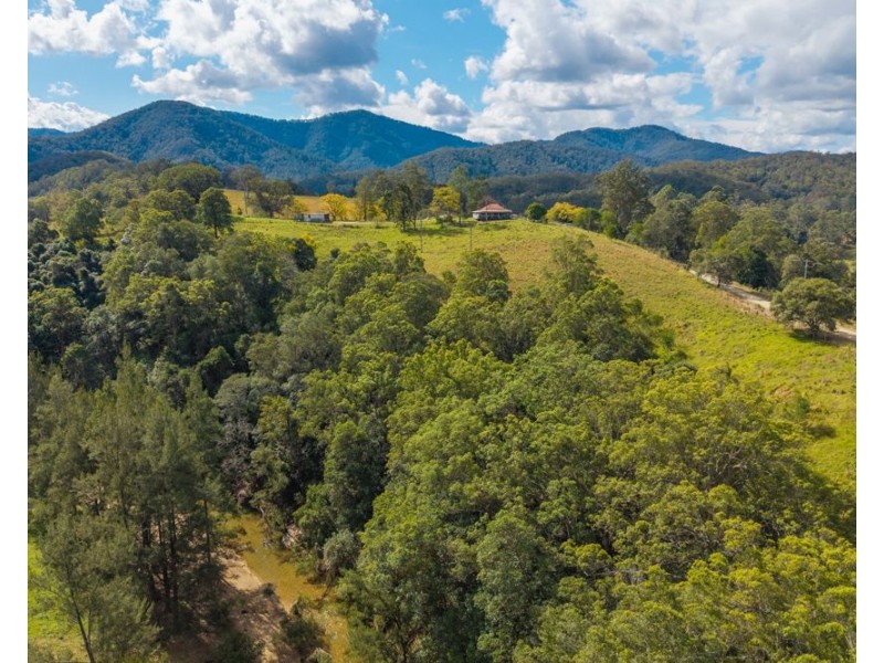 3643 Taylors Arm Road, Burrapine NSW 2447