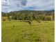 3643 Taylors Arm Road, Burrapine NSW 2447