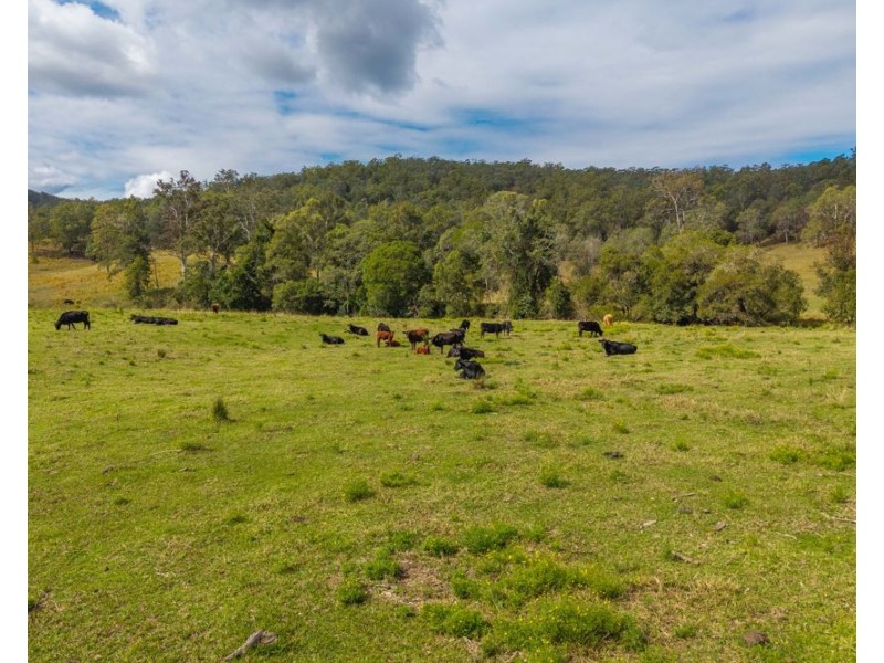 3643 Taylors Arm Road, Burrapine NSW 2447