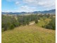 3643 Taylors Arm Road, Burrapine NSW 2447