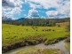 3643 Taylors Arm Road, Burrapine NSW 2447