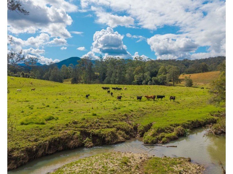 3643 Taylors Arm Road, Burrapine NSW 2447