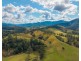 3643 Taylors Arm Road, Burrapine NSW 2447