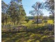 1540 Collombatti Road, Collombatti NSW 2440