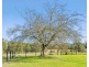 1540 Collombatti Road, Collombatti NSW 2440