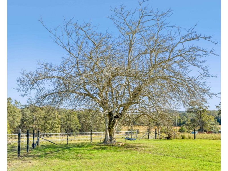 1540 Collombatti Road, Collombatti NSW 2440