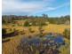 1540 Collombatti Road, Collombatti NSW 2440