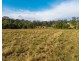 1540 Collombatti Road, Collombatti NSW 2440