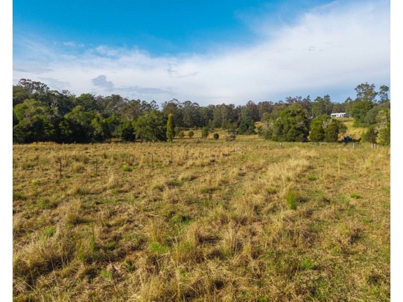 1540 Collombatti Road, Collombatti NSW 2440