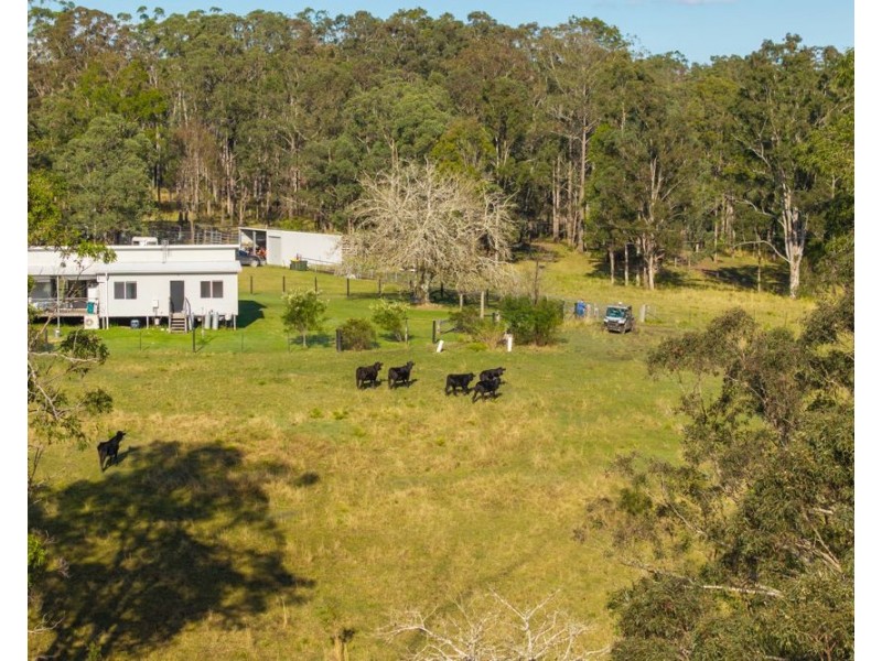 1540 Collombatti Road, Collombatti NSW 2440