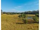 1540 Collombatti Road, Collombatti NSW 2440