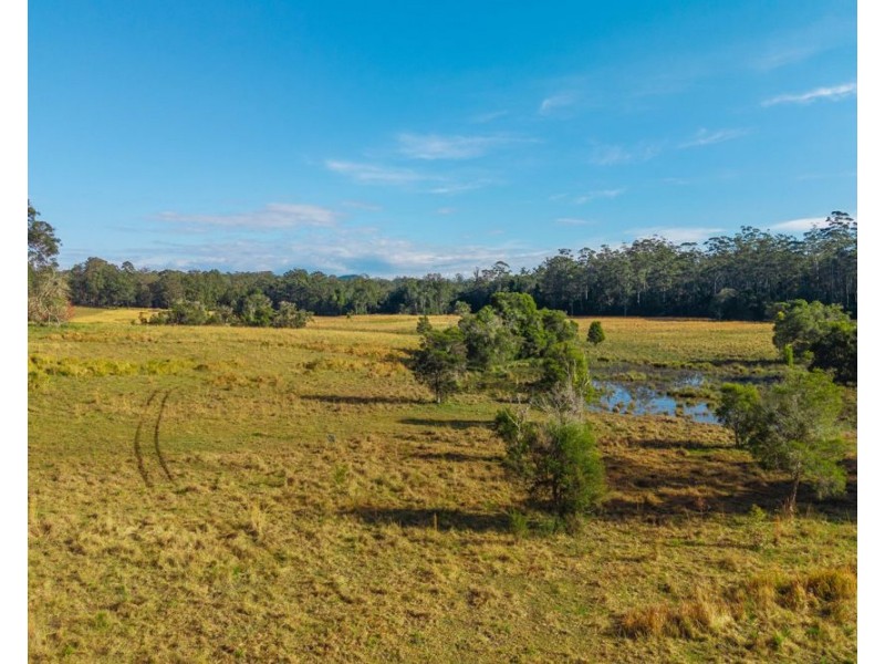 1540 Collombatti Road, Collombatti NSW 2440