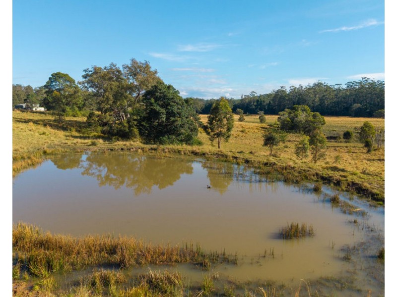 1540 Collombatti Road, Collombatti NSW 2440