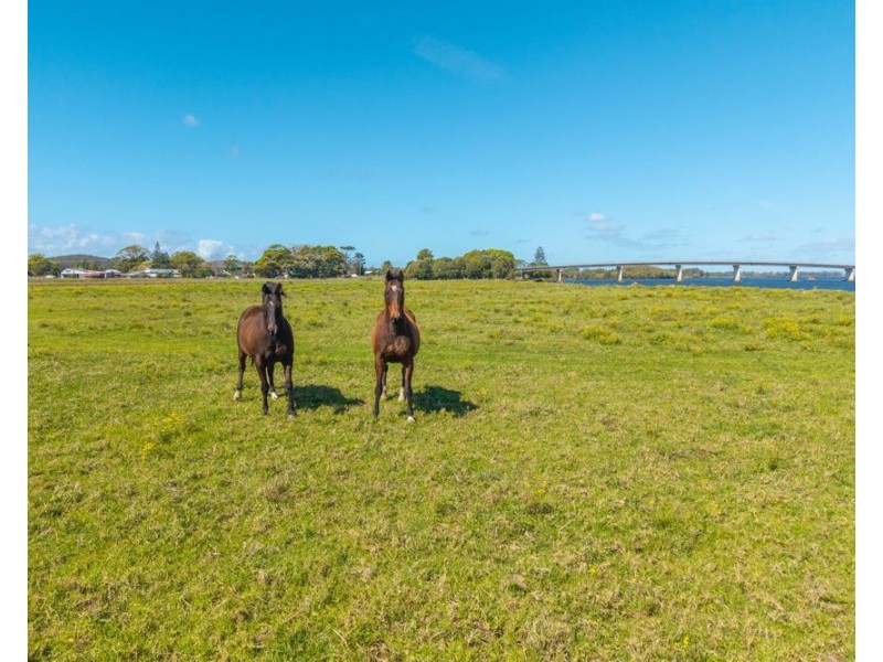 2967 South West Rocks Road, Jerseyville NSW 2431