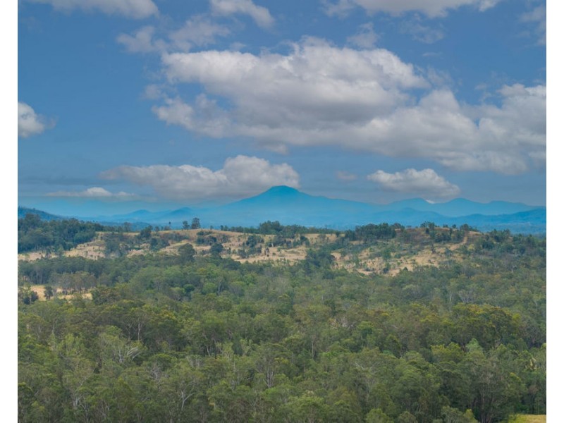 849 Willi Willi Road, Temagog NSW 2440