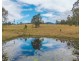 849 Willi Willi Road, Temagog NSW 2440