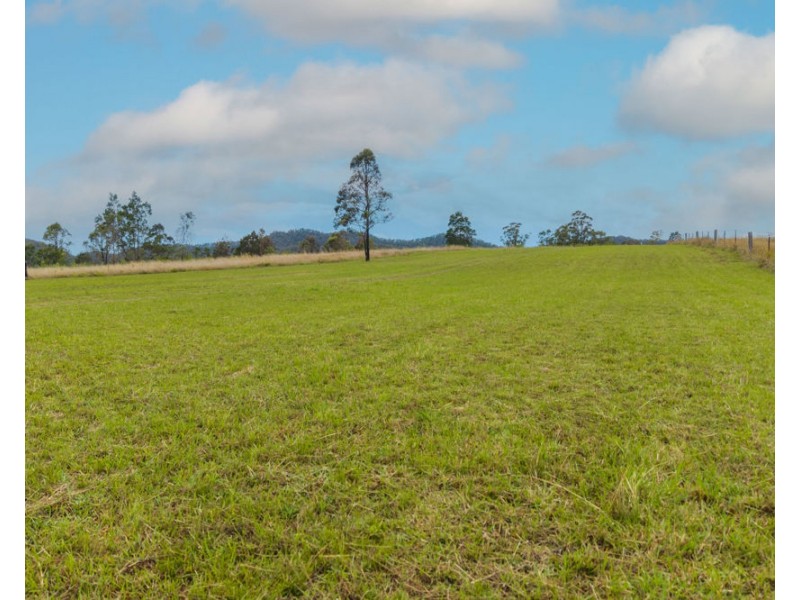 849 Willi Willi Road, Temagog NSW 2440
