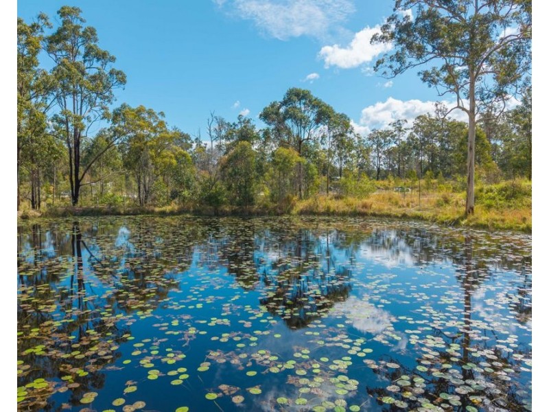115 Carlyle Avenue, Kundabung NSW 2441