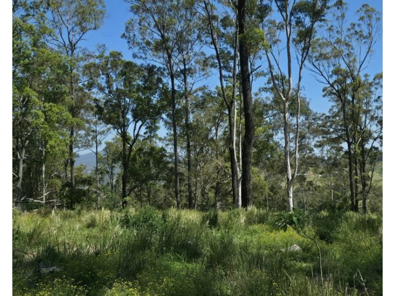 1/310 Yessabah Rd, Yessabah NSW 2440