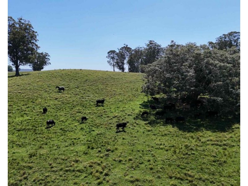 2/310 Yessabah Rd, Yessabah NSW 2440