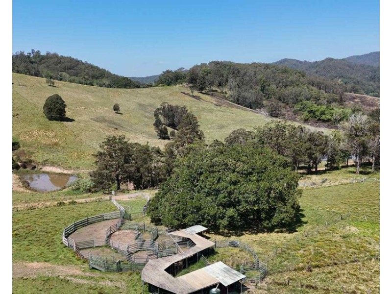 2/310 Yessabah Rd, Yessabah NSW 2440