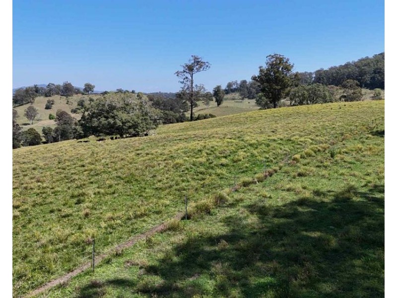 2/310 Yessabah Rd, Yessabah NSW 2440