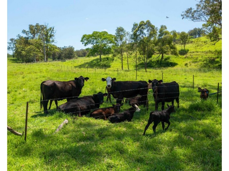 5/310 Yessabah Rd, Yessabah NSW 2440