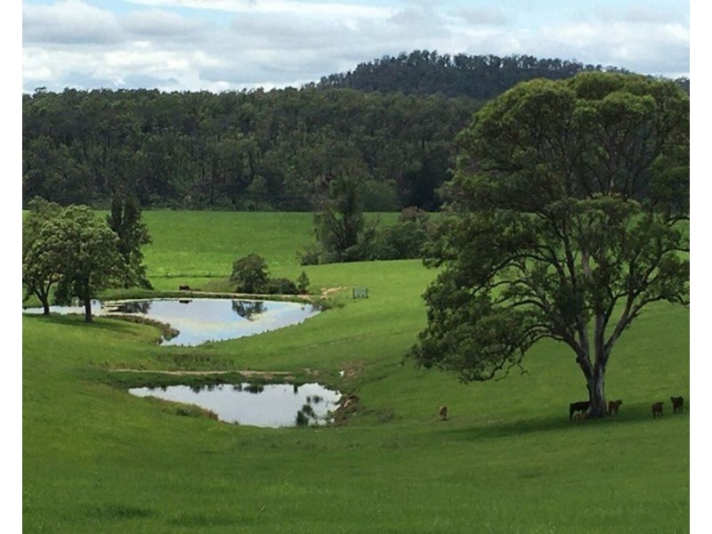 800 Toms Gully Rd, Hickeys Creek NSW 2440