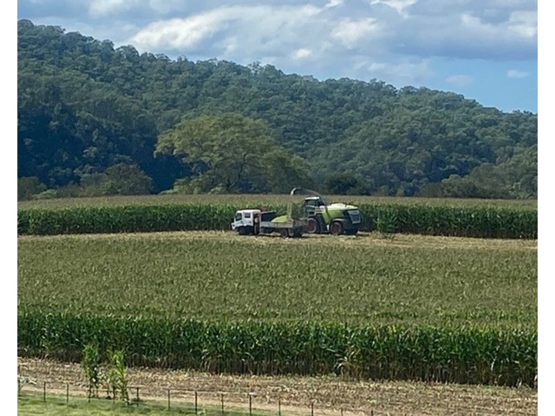 800 Toms Gully Rd, Hickeys Creek NSW 2440