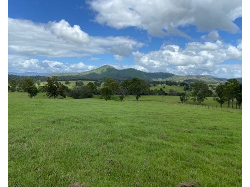 800 Toms Gully Rd, Hickeys Creek NSW 2440