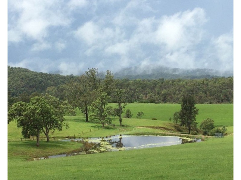 800 Toms Gully Rd, Hickeys Creek NSW 2440