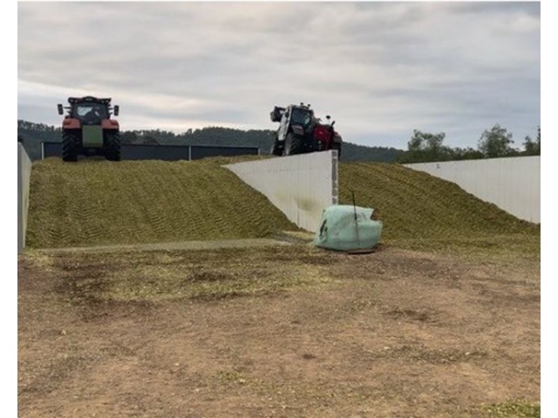 800 Toms Gully Rd, Hickeys Creek NSW 2440