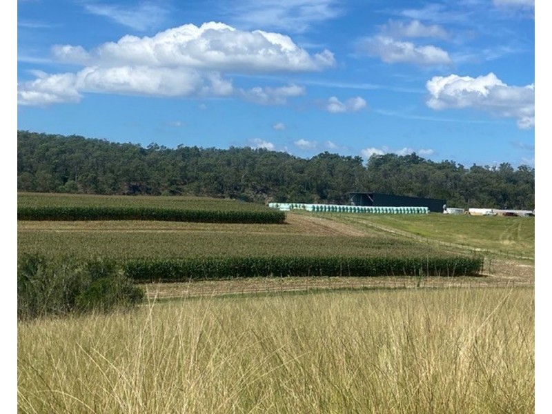 800 Toms Gully Rd, Hickeys Creek NSW 2440