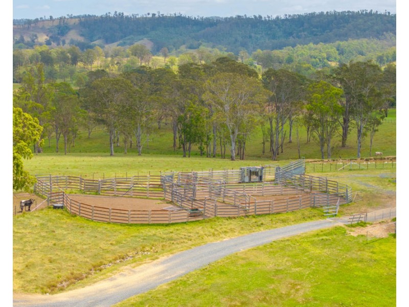 800 Toms Gully Rd, Hickeys Creek NSW 2440