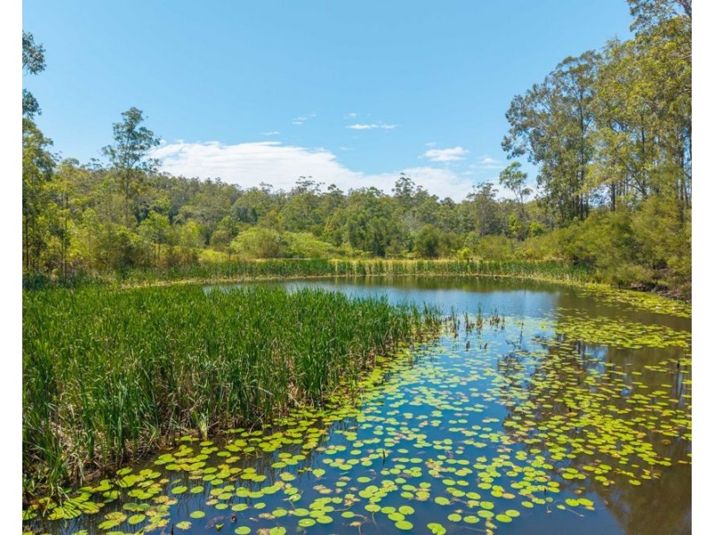 365 Larkins Road, Deep Creek NSW 2440