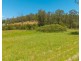 365 Larkins Road, Deep Creek NSW 2440