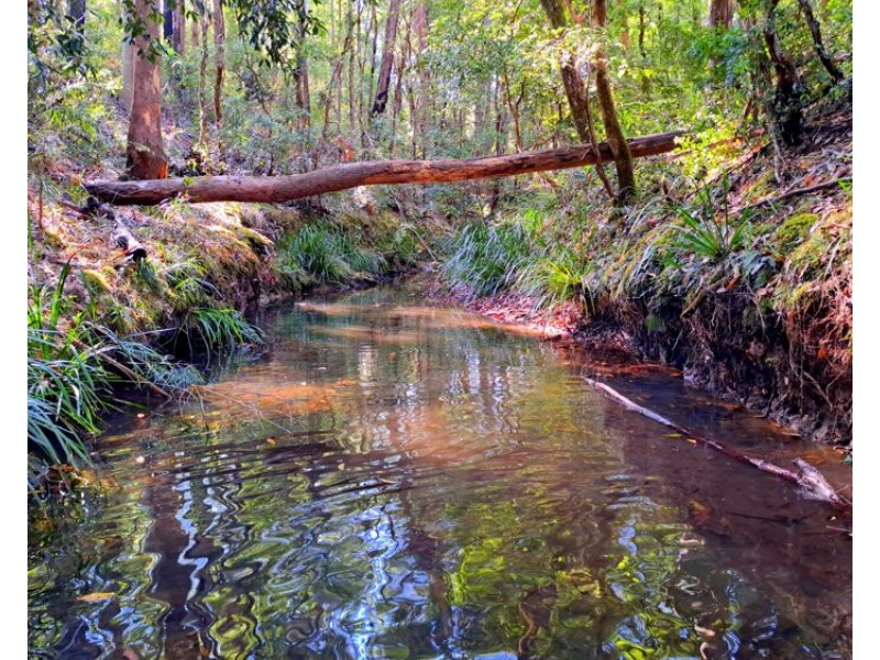 365 Larkins Road, Deep Creek NSW 2440