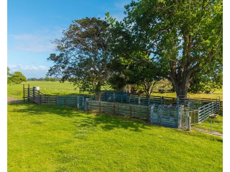 54 Back Creek Road, Kinchela NSW 2440
