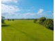 54 Back Creek Road, Kinchela NSW 2440