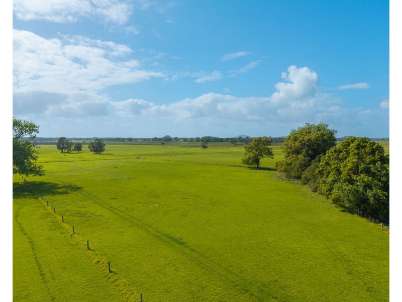 54 Back Creek Road, Kinchela NSW 2440