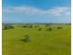 54 Back Creek Road, Kinchela NSW 2440
