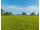 54 Back Creek Road, Kinchela NSW 2440